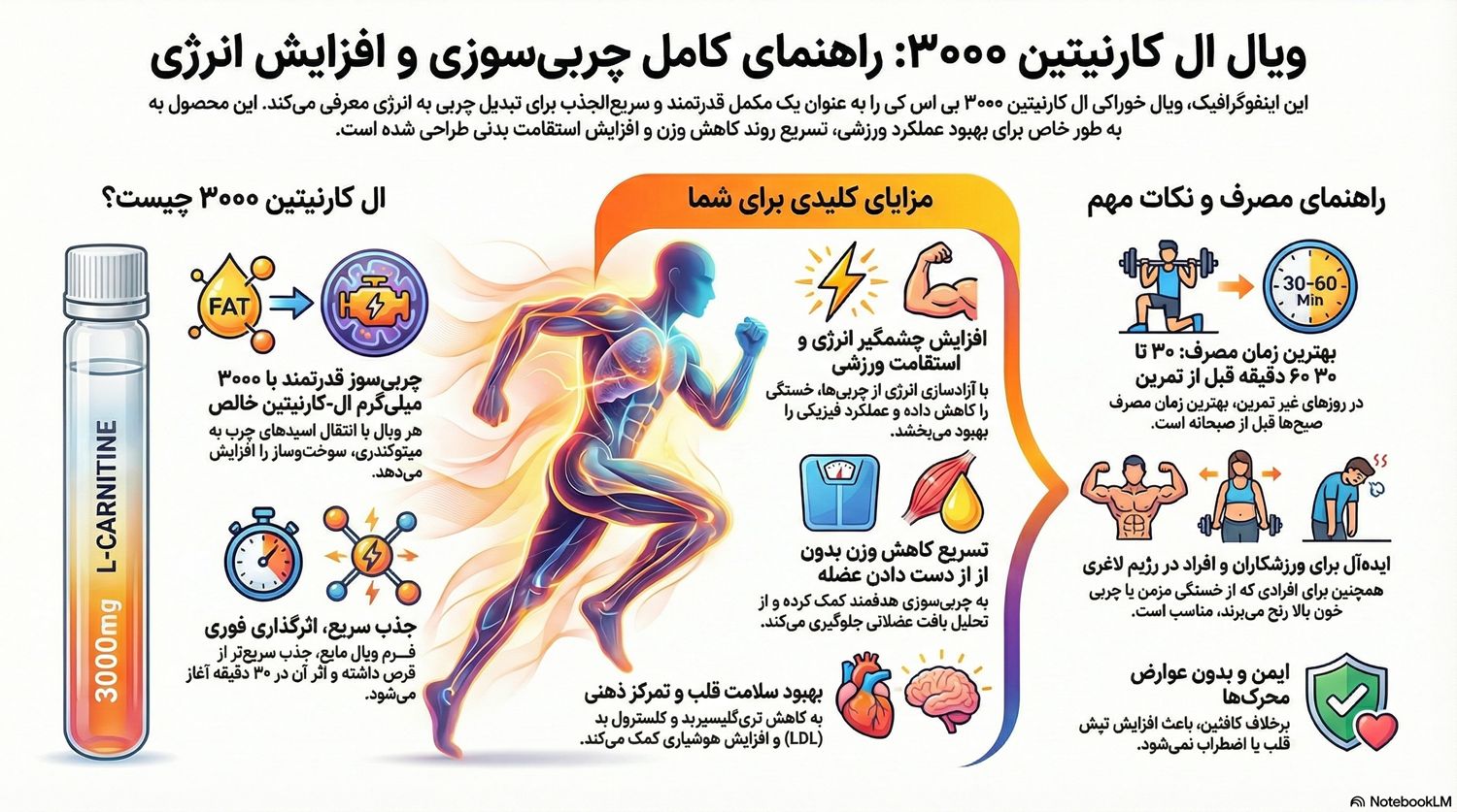 l carnitine vs glp 1 مکمل ال کارنیتین چیست؟ آنچه در مورد ال کارنیتین باید بدانید - دکتر مکمل main image 0
