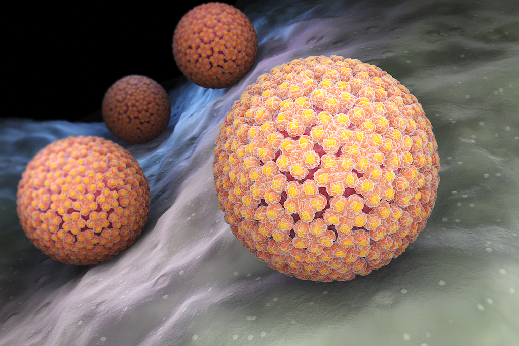 ویروس hpv